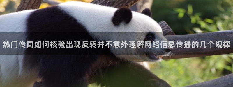 网络热点