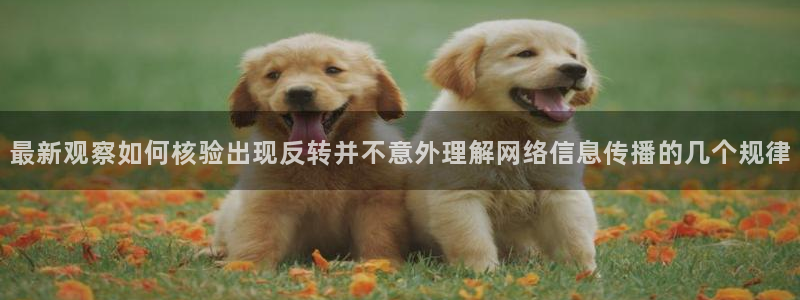 吃瓜网络热点:最新观察如何核验出现反转并不意外理解网络信息传播的几个规律